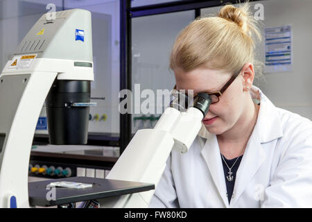 Chercheur scientifique à l'aide d'un microscope. Banque D'Images