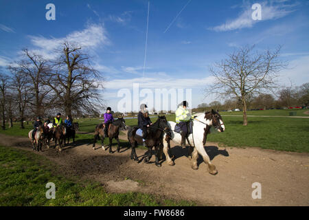 Wimbledon Londres, Royaume-Uni. 1er avril 2016. Météo France : un groupe de cavaliers forment une école d'équitation profitez du soleil du printemps sur Wimbledon Common que les températures devraient augmenter de crédit : amer ghazzal/Alamy Live News Banque D'Images