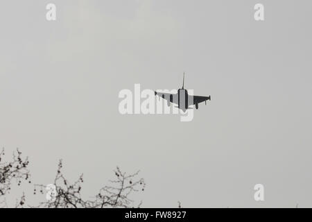 Horse Guards, Londres, Royaume-Uni. 1er avril 2016. Un typhon jet au-dessus. 98e anniversaire de la RAF sur fly-by Horse Guards. © Matthieu Chatt Banque D'Images