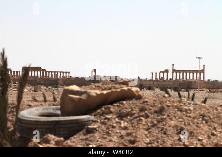 Palmyre. 1er avril 2016. Les architectures anciennes endommagées sont vus dans Palmyre de la Syrie centrale, le 1 avril 2016. La Syrie, l'ancienne ville de Palmyre a été reprise par les forces gouvernementales syriennes de l'État islamique des combattants. Cependant, la ville est pleine d'antiquités et d'architectures anciennes a subi au cours de la destruction est le contrôle. © Yang Zhen/Xinhua/Alamy Live News Banque D'Images