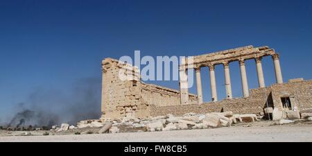 Palmyre. 1er avril 2016. Les architectures anciennes endommagées sont vus dans Palmyre de la Syrie centrale, le 1 avril 2016. La Syrie, l'ancienne ville de Palmyre a été reprise par les forces gouvernementales syriennes de l'État islamique des combattants. Cependant, la ville est pleine d'antiquités et d'architectures anciennes a subi au cours de la destruction est le contrôle. © Yang Zhen/Xinhua/Alamy Live News Banque D'Images