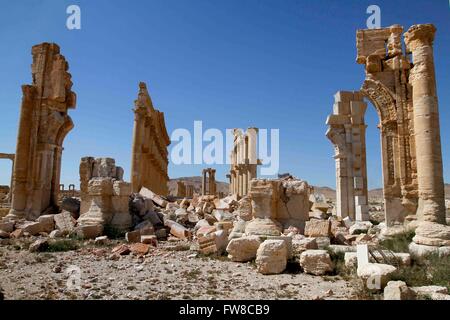 Palmyre. 1er avril 2016. Les architectures anciennes endommagées sont vus dans Palmyre de la Syrie centrale, le 1 avril 2016. La Syrie, l'ancienne ville de Palmyre a été reprise par les forces gouvernementales syriennes de l'État islamique des combattants. Cependant, la ville est pleine d'antiquités et d'architectures anciennes a subi au cours de la destruction est le contrôle. © Yang Zhen/Xinhua/Alamy Live News Banque D'Images