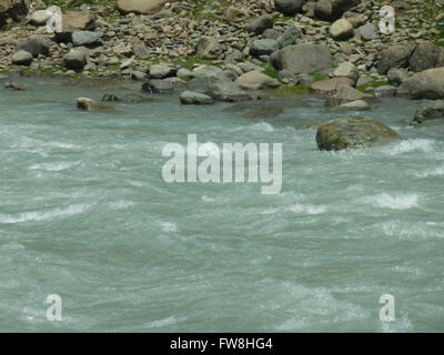 Rivière Lidder, Pahalgam, Cachemire, originaire d'Kolhoi Glacier, en passant par Lidderwat croisement pré, Pahalgam Banque D'Images