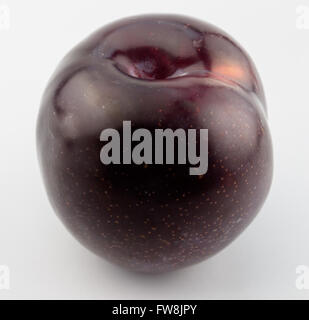 Close up de prune unique isolated on white Banque D'Images