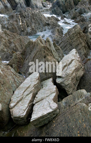 En plaques de l'ardoise comme rock sur une plage sur la côte nord du Devon au Royaume-Uni. La roche se présente comme il brille dans la lumière d'un gris terne et a été édifiés sur des millions d'années pour que la strat est presque vertical au lieu d'être horizontal, comme il aurait été quand la roche s'est formée. Banque D'Images