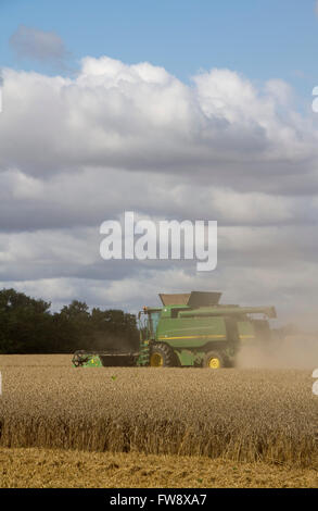 Moissonneuse-batteuse dans un nuage de poussière Banque D'Images