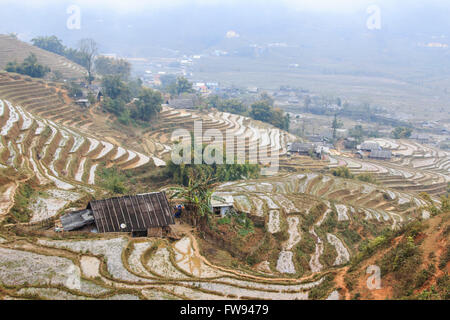 Sapa, Vietnam - 16 Février 2016 : Maison isolée parmi les rizières en terrasses de Sapa au Vietnam du Nord Banque D'Images