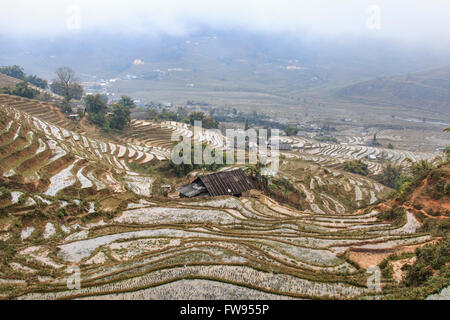 Sapa, Vietnam - 16 Février 2016 : Maison isolée parmi les rizières en terrasses de Sapa au Vietnam du Nord Banque D'Images