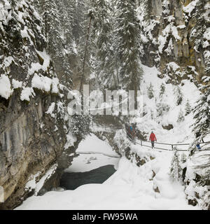 Promeneurs sur sentier dans le canyon Johnston, Banff National Park, Alberta, Canada Banque D'Images