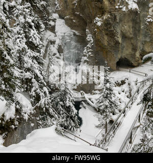 Piste à Johnston Canyon, Banff National Park, Alberta, Canada Banque D'Images