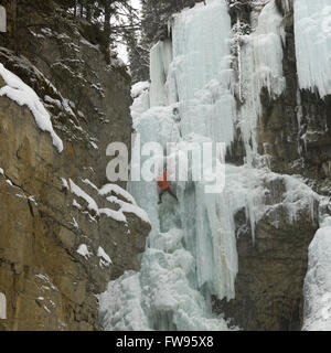 Grimpeur sur glace sur cascade de glace, le Canyon Johnston, Banff National Park, Alberta, Canada Banque D'Images