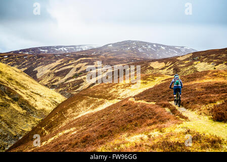 Du vélo de montagne sur la lande à distance dans le Parc National de Cairngorms près de Fealar Lodge Le Perthshire Scotland Banque D'Images