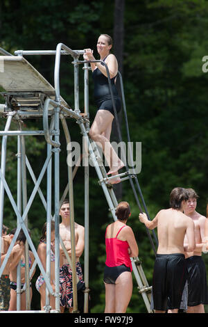 Dame de poulets sur sur le high dive at Table Rock State Park. Banque D'Images