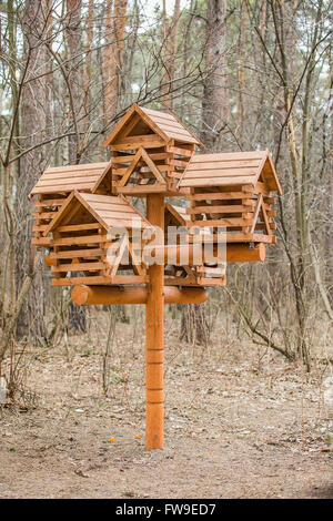 Des mangeoires pour oiseaux dans la forêt Banque D'Images