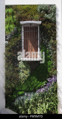 La fenêtre du mur du bâtiment avec de faux et Jardin Vertical dans Malaga, Andalousie Banque D'Images