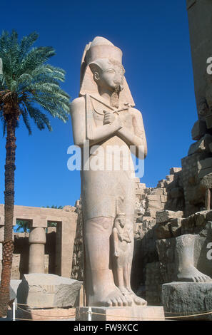 Colosse de Ramsès II, Temple de Karnak, Louxor, Egypte Banque D'Images