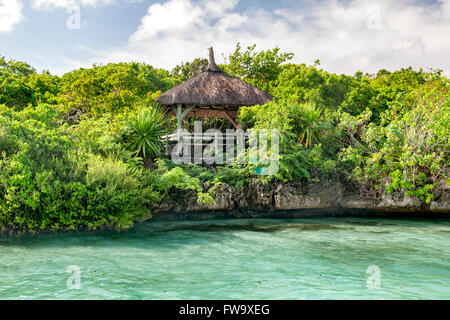 Le littoral et la végétation verdoyante de l'île de Ile aux Aigrettes au large de la côte sud-est de l'île Maurice. Banque D'Images