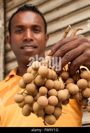 Longane (similaire au litchi) à vendre à l'Ile Maurice. Banque D'Images