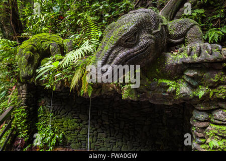 Lézard géant dans la forêt des singes sacrés Sanctuaire, Ubud, Bali, Indonésie Banque D'Images