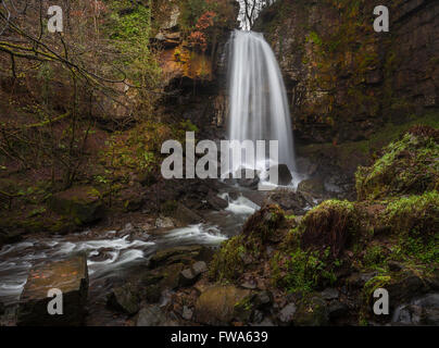 Cascade de Melincourt mystique Banque D'Images