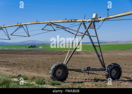 Système d'irrigation à pivot central sur une ferme dans l'Est de Washington, USA Banque D'Images