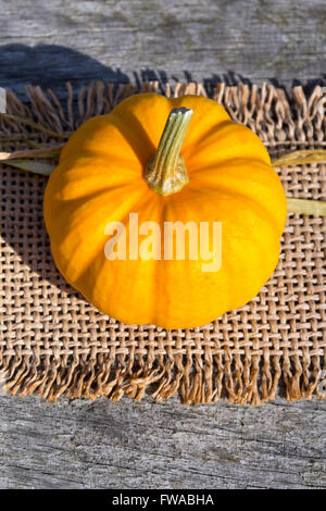 Citrouille peu à la table à l'automne. Banque D'Images