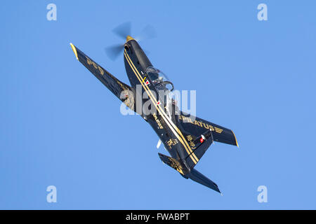 Pilatus PC-9M formation militaire l'avion HB-HPJ Banque D'Images