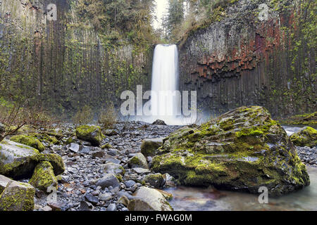 Abiqua Falls du Marion County Oregon durant la saison du printemps Banque D'Images