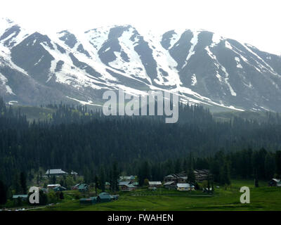 Apharwat couvertes de neige pentes de montagne vu de Gulmarg, dans la vallée du Cachemire avec des pistes pour les alpinistes et les pentes couvertes de broussailles Banque D'Images