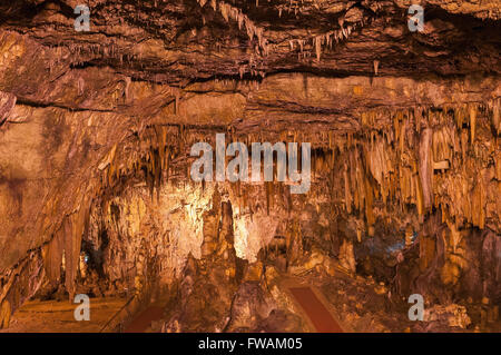 La grotte de Drogarati sur l'île de Céphalonie allumé en orange, Grèce Banque D'Images