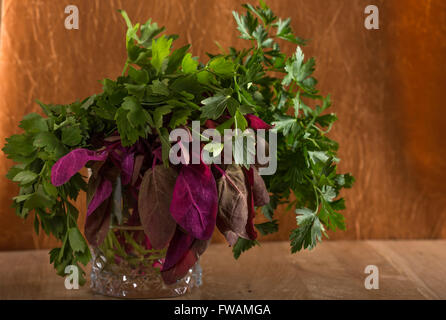 Bunch of red avec le persil et la livèche orach dans verre sur fond de bois vieux Banque D'Images