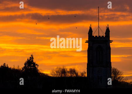 Vue sur St Michaels et tous les anges avec des pigeon ramier Columba palumbus au coucher du soleil, Monthey, Wiltshire en décembre. Banque D'Images