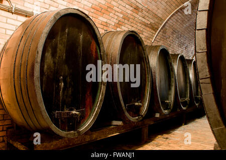 D'énormes barils pour la conservation du vin sur la Route des Vins des Carpates, en Slovaquie Banque D'Images