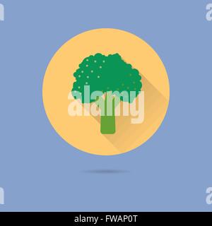 Design plat de brocoli Ombre portée de l'icône vecteur Illustration de Vecteur