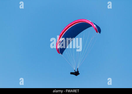 Beachy Head, au Royaume-Uni. Le 02 avril 2016. Météo britannique. Parapentes profiter du beau temps tout en volant au-dessus de Beachy Head, East Sussex, UK Crédit : Ed Brown/Alamy Live News Banque D'Images