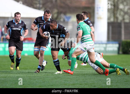 Treviso, Italie. 09Th apr 2016. Glasgow Warriors's player Sila Puafisi s'exécute avec le ballon au cours de la Guinness Rugby Pro12 match entre Benetton Treviso et Glasgow Warriors. Glasgow Warriors bat 38-16 Benetton Treviso Guinness Rugby Pro12 match à Monigo Stadium à Trévise. © Andrea Spinelli/Pacific Press/Alamy Live News Banque D'Images