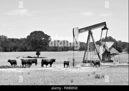 Puits de pétrole du Texas pumper en noir et blanc avec des prix pour votre type. Banque D'Images