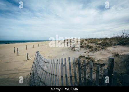 Clôture et dunes de sable de Cape Henlopen State Park à Rehoboth Beach, Delaware. Banque D'Images