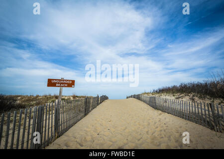 Chemin d'accès à la plage au Cap Henlopen State Park, de Rehoboth Beach, Delaware. Banque D'Images