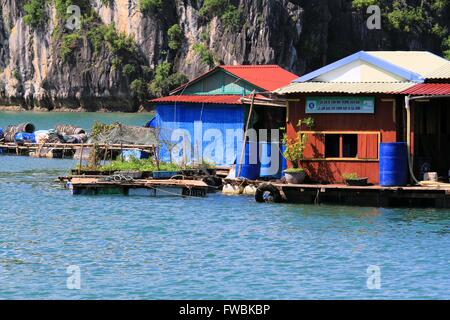 Maison de Pêcheurs flottant, la baie d'Halong, site classé au Patrimoine Mondial, Vietnam, Asie Banque D'Images