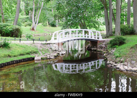 Le livre blanc pont de bois sur la petite rivière dans la région de park Banque D'Images