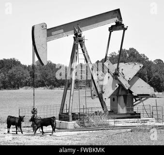 Autopompe de puits de pétrole dans l'ouest du Texas. Banque D'Images