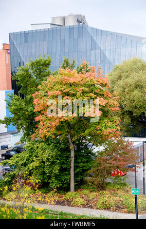 Institut national de graphène à l'automne, à l'Est de la rue Booth, Université de Manchester, UK Banque D'Images