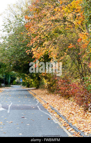 Les arbres aux couleurs automnales se penchant à travers réseau express régional English road Banque D'Images