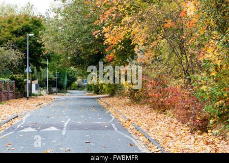 Les arbres aux couleurs automnales se penchant à travers réseau express régional English road Banque D'Images