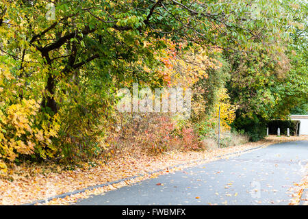 Les arbres aux couleurs automnales se penchant à travers réseau express régional English road Banque D'Images