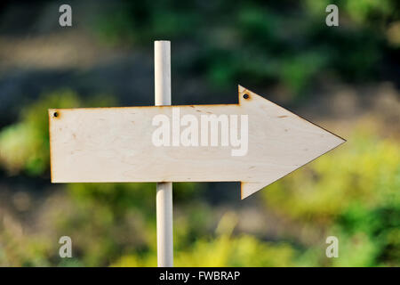 Bois de mariage guest sign Banque D'Images