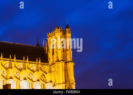 Cathédrale Notre-Dame d'Amiens Banque D'Images