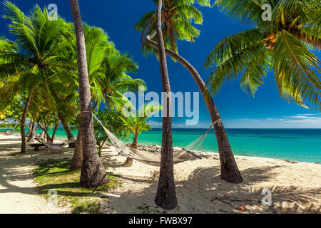 Hamac vide dans l'ombre des palmiers tropicaux et dynamiques sur les Îles Fidji Banque D'Images