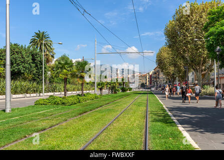 Rails du tramway sur l'herbe verte dans le centre de Nice, France. Banque D'Images